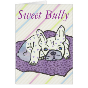 Französische Bulldogge süßer Bully French Bulldog