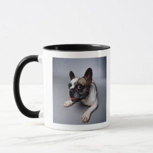 Französische Bulldogge Tasse