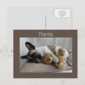 Französische Bulldogge Teddy French Bulldog Postkarte (Vorne/Hinten)