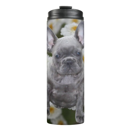 Französische Bulldogge  Thermosbecher (Vorderseite)