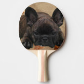 Französische Bulldogge Tischtennis Schläger (Vorderseite)