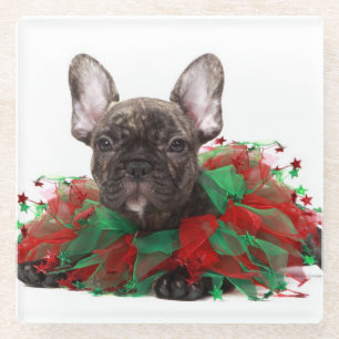 Französische Bulldogge tragender Weihnachtskragen Glasuntersetzer