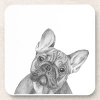 Französische Bulldogge