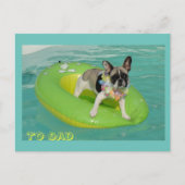 Französische Bulldogge Urlaub French Bulldog Postkarte (Vorderseite)