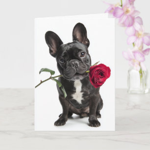 Französische Bulldogge Valentine – Große Liebe, sü Karte