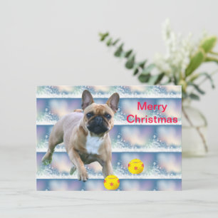 Französische Bulldogge  Weihnachten French Bulldog Save The Date