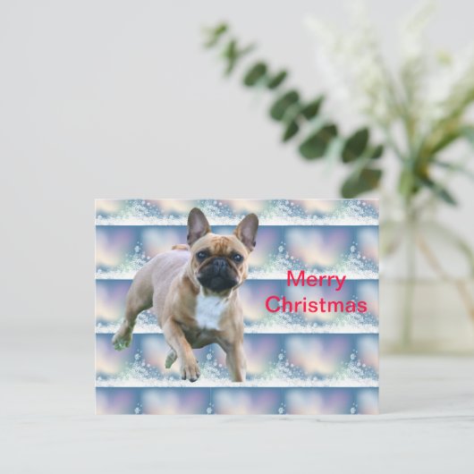 Französische Bulldogge Weihnachten Geschenke (Stehend Vorderseite)