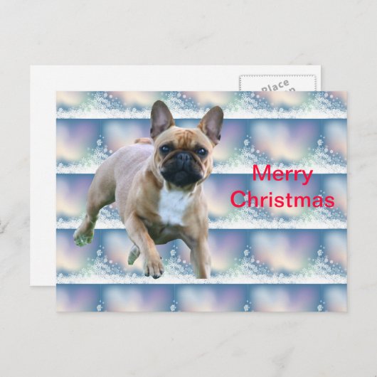 Französische Bulldogge Weihnachten Geschenke (Vorne/Hinten)