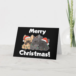 Französische Bulldogge Weihnachten Tiere Süße Hund