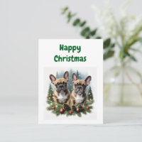 Französische Bulldogge  Weihnachtskranz Bulldog