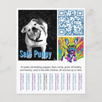 Französische Bulldogge Welpe  Flyer