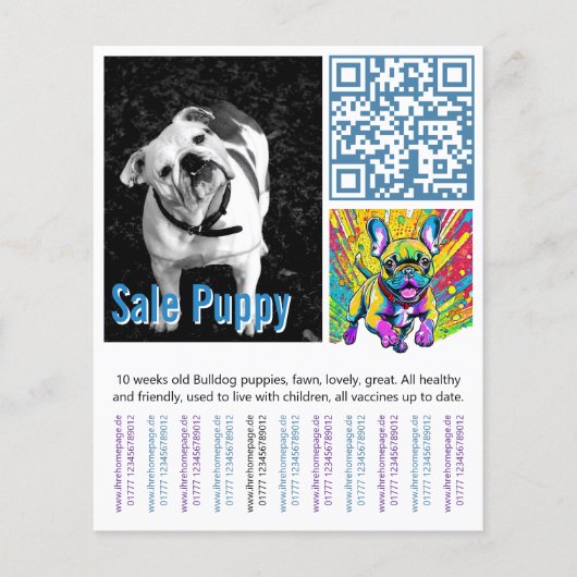 Französische Bulldogge Welpe  Flyer (Vorne)