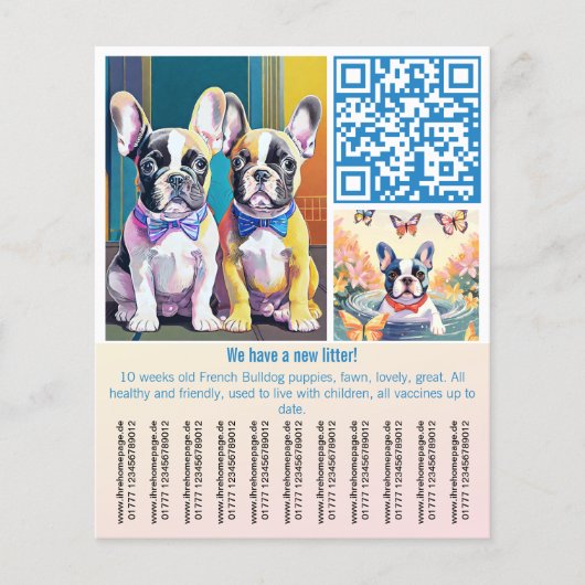 Französische Bulldogge Welpe Flyer (Vorne)