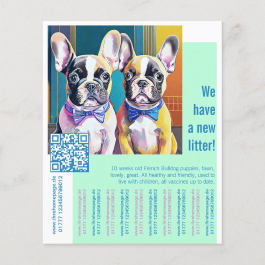Französische Bulldogge Welpe Flyer (Vorne)