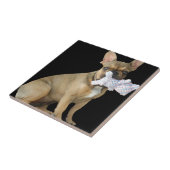 Französische Bulldogge Welpe French Bulldog Fliese (Seite)