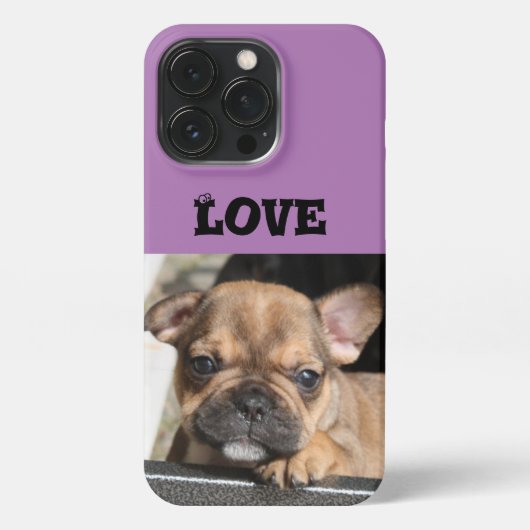 Französische Bulldogge Welpe French Bulldog iPhone Hülle (Rückseite)