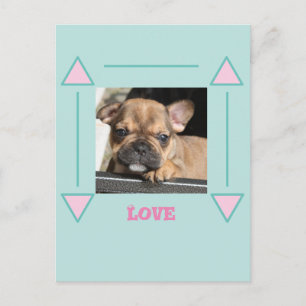 Französische Bulldogge Welpe French Bulldog Postkarte