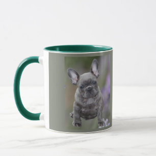 Französische Bulldogge Welpe French Bulldog Tasse