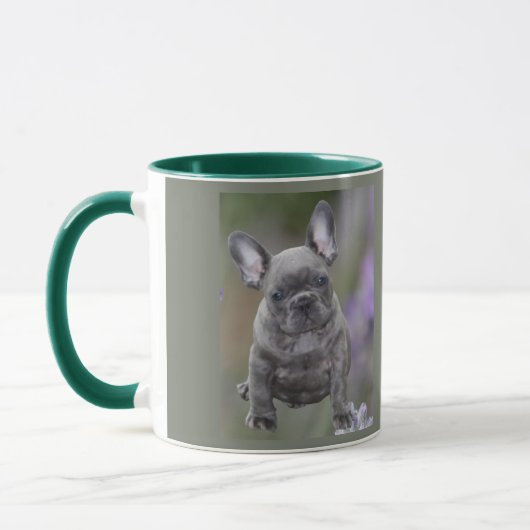 Französische Bulldogge Welpe French Bulldog Tasse (Links)