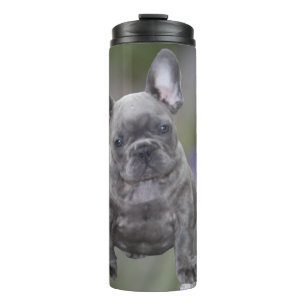 Französische Bulldogge Welpe French Bulldog Thermosbecher