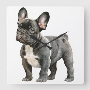 Französische Bulldogge-Welpe Quadratische Wanduhr