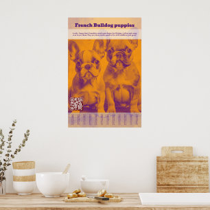 Französische Bulldogge Welpe Verkauf Abreißzettel Poster