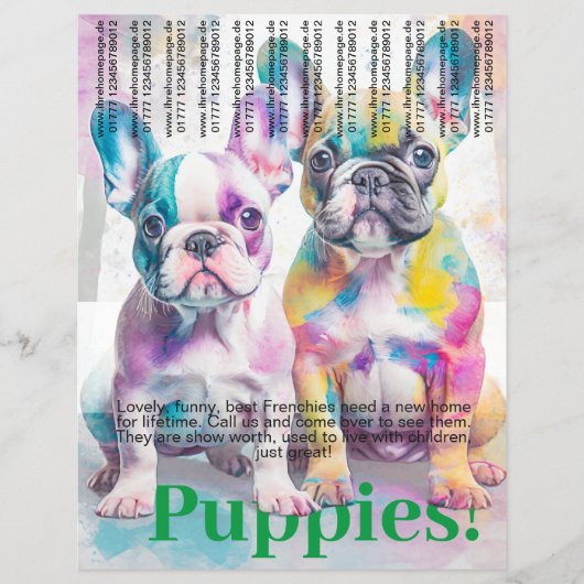 Französische Bulldogge Welpen Flyer (Vorne)