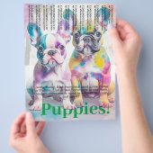 Französische Bulldogge Welpen Flyer (Hand)