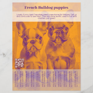 Französische Bulldogge-Welpen-Flyer  Flyer