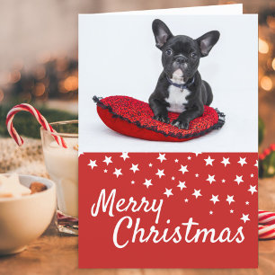 Französische Bulldogge-Welpen-Foto Weihnachten Cus