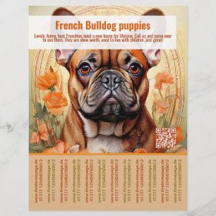 Französische Bulldogge-Welpenflyer  Flyer