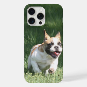 Französische Bulldogge Wettrennen French Bulldog iPhone 15 Pro Max Hülle