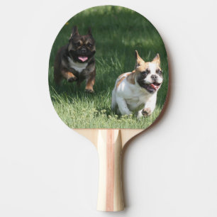 Französische Bulldogge Wettrennen French Bulldog Tischtennis Schläger