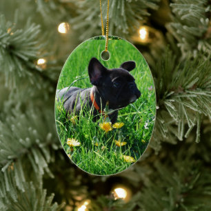 Französische Bulldogge Wiese French Bulldog Keramik Ornament