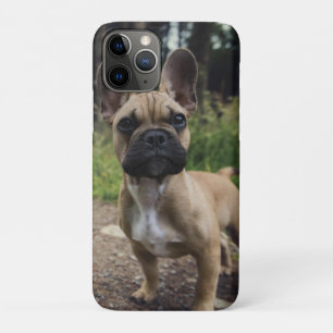 Französische Bulldogge Wurfkissen Case-Mate iPhone Hülle