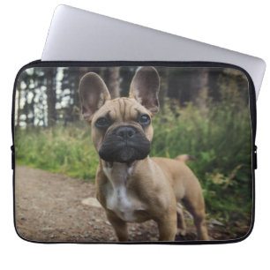 Französische Bulldogge Wurfkissen Laptopschutzhülle