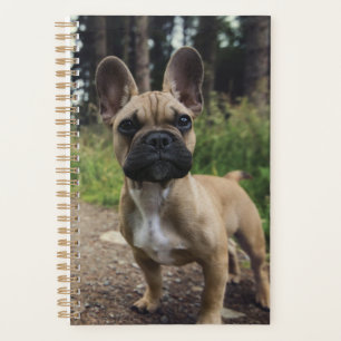Französische Bulldogge Wurfkissen Planer