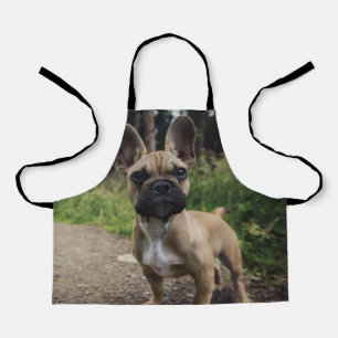 Französische Bulldogge Wurfkissen Schürze