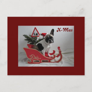 Französische Bulldogge Xmas French Bulldog Postkarte