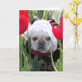 Französische Bulldogge zum Geburtstag in einem nie Karte (Gelbe Blume)