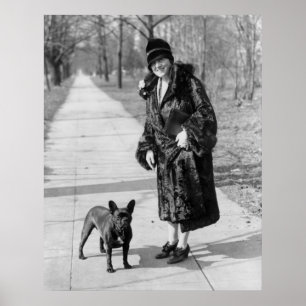 Französische Bulldogge, Zwanzigerjahre Poster