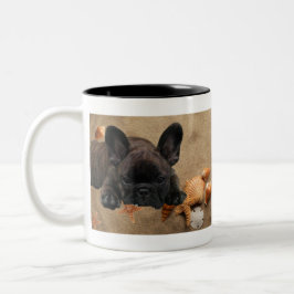 Französische Bulldogge Zweifarbige Tasse