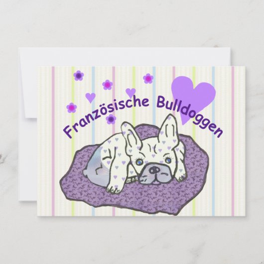 Französische Bulldoggen (Vorderseite)