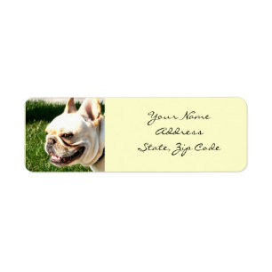 Französische Bulldoggen-Adressen-Etiketten