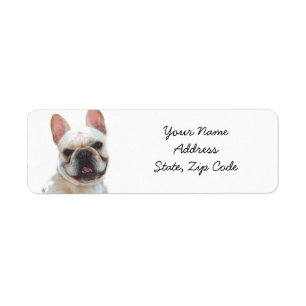 Französische Bulldoggen-Adressen-Etiketten