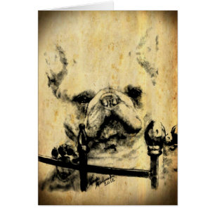 Französische Bulldoggen-alte Zeit