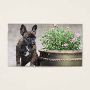 Französische Bulldoggen Blumentopf French Bulldog