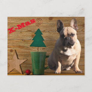  französische Bulldoggen Christmas French Bulldog  Postkarte