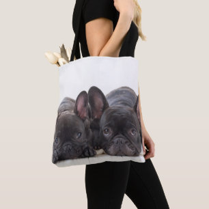Französische Bulldoggen, die auf einer Decke Tasche