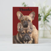 Französische Bulldoggen Einladung (Stehend Vorderseite)